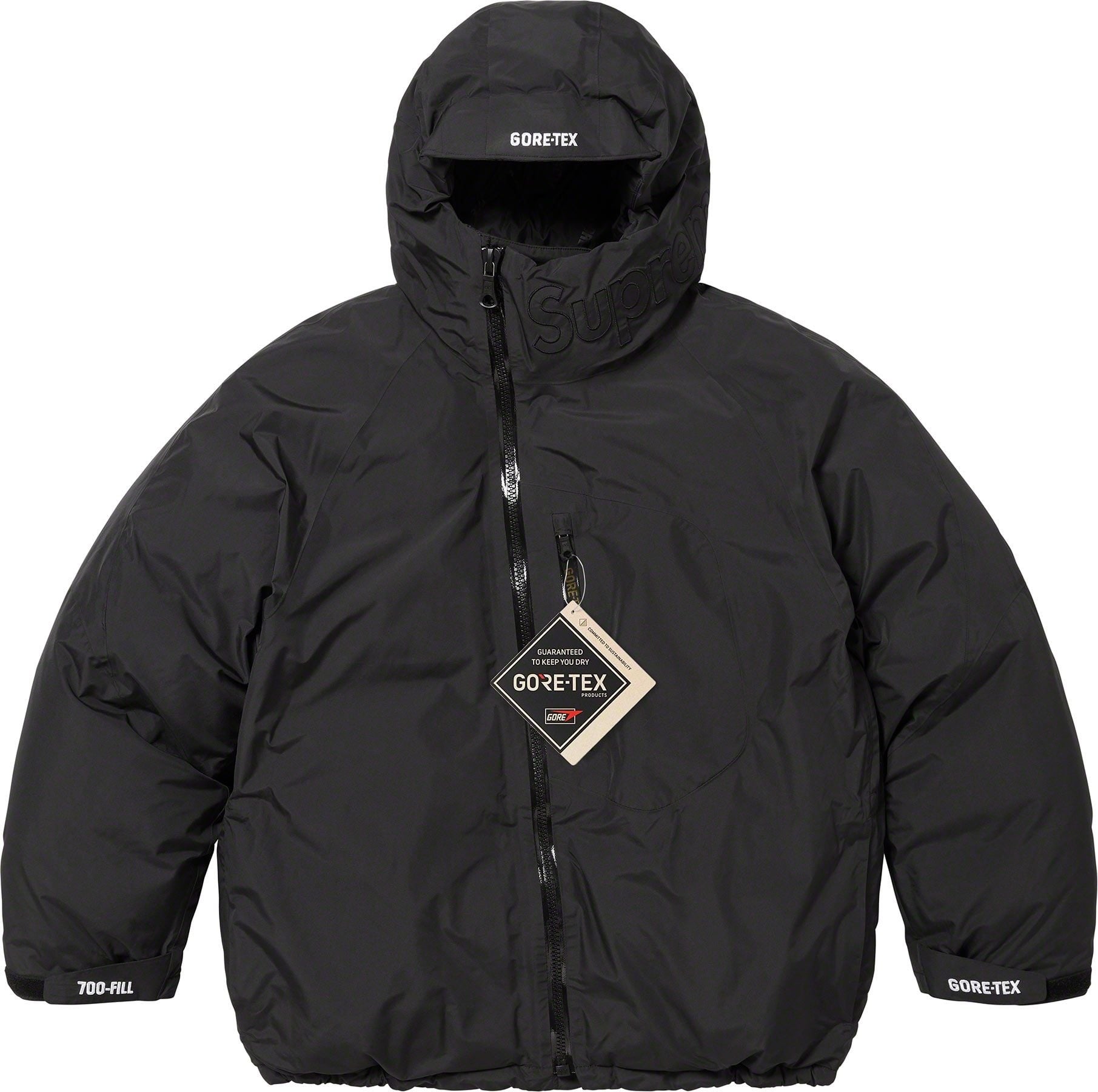 GORE-TEX 700-Fill Down Parka view 6